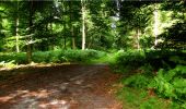 Tocht Stappen Longpont - en forêt de Retz_20_Longpont_carrefour des six Routes_AR - Photo 16