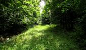 Trail Walking Montgobert - en forêt de Retz_83_les Champs Mentard_le Fond d'Argent - Photo 18