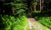 Trail Walking Longpont - en forêt de Retz_20_Longpont_carrefour des six Routes_AR - Photo 18