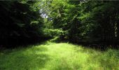 Trail Walking Montgobert - en forêt de Retz_83_les Champs Mentard_le Fond d'Argent - Photo 14