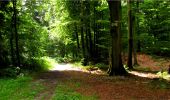 Tocht Stappen Longpont - en forêt de Retz_20_Longpont_carrefour des six Routes_AR - Photo 19