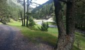 Randonnée Marche Saint-Lary-Soulan - sentier de l'hospice de Rioumajou  - Photo 5