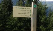 Trail Walking Abondance - Lac des Plagnes - Lenlevay - Photo 4