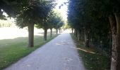 Trail Walking Sigloy - Chateauneuf sur Loire - le parc - Photo 20