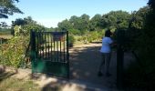 Excursión Senderismo Sigloy - Chateauneuf sur Loire - le parc - Photo 19