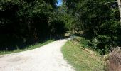 Trail Walking Sigloy - Chateauneuf sur Loire - le parc - Photo 13
