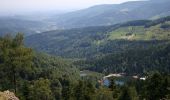 Trail Mountain bike La Bresse - Le Tour de La Bresse en VTT - Photo 3