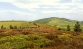 Trail Walking Châteauneuf - La Castelneuvienne 2013 - Châteauneuf - Photo 1