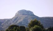 Tour Wandern Aubagne - Le Garlaban depuis le Puits de Raimu - Photo 1