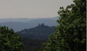 Randonnée Marche La Garde-Freinet - Autour de la Chapelle Saint Clément - La Garde Freinet - Photo 4