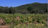 Randonnée Marche La Garde-Freinet - Autour de la Chapelle Saint Clément - La Garde Freinet - Photo 1