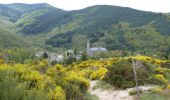 Trail Walking Dourbies - Le Suquet - Dourbies - Photo 6