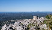 Randonnée Marche Saint-Jeannet - Le Baou de Saint-Jeannet, 802 m - Photo 1