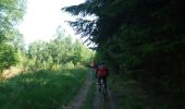 Percorso Mountainbike Revin - Witaker - Bois de Hiraumont - Revin - Photo 5