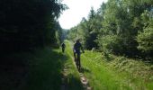Tocht Mountainbike Revin - Witaker - Bois de Hiraumont - Revin - Photo 3
