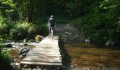 Tour Mountainbike Revin - Witaker - Bois de Hiraumont - Revin - Photo 2