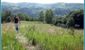 Excursión Carrera Aurillac - Marathon de Berganty 2012 - Aurillac - Photo 2