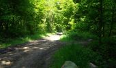 Randonnée Cheval Aumale - Le bois Robin - Aumale - Photo 4