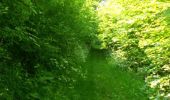 Randonnée Cheval Aumale - Le bois Robin - Aumale - Photo 1