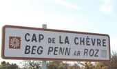 Tocht Stappen Crozon - Cap de La Chèvre - Morgat - Photo 6