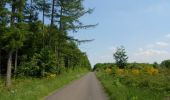 Trail Walking Dancourt - Circuit de la Reine Mère (N° 1) - Dancourt - Photo 1