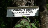 Randonnée Marche Épinal - Circuit des Grand Bois - Deyvillers - Photo 1