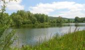 Randonnée Marche Blangy-sur-Bresle - Circuit des étangs (N° 6)  - Nesle-Normandeuse - Photo 4