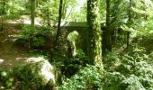 Trail Walking Leschaux - Randonnée de Crêt de Chatillon à Saint-Martin par Pont du Diable - Photo 2