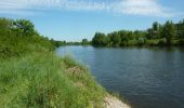 Tour Wandern Cleppé - Autour des Gorges de la Loire - GR de Pays N° 1 : La Tour de Cléppé - Cleppé - Photo 5