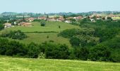 Tocht Mountainbike Balbigny - Autour des Gorges de la Loire - GR de Pays N° 4 : Le Viaduc des Chessieux - Les Chessieux - Photo 3