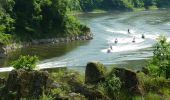 Excursión Senderismo Pinay - Autour des Gorges de la Loire - GR Pays N° 5 : De la Digue à La Vourdiat - La Digue de Pinay - Photo 3