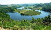 Excursión Senderismo Cordelle - Autour des Gorges de la Loire - GR de Pays N° 6 : Château de La Roche et Méandre de la Loire - Port de Bully, Pont de Presle - Photo 4