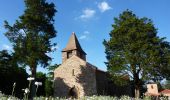 Trail Walking Villerest - Autour des Gorges de la Loire - GR de Pays N° 7 : Du barrage de Villerest au pont de Presle - Villerest - Photo 6