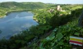 Excursión Senderismo Villerest - Autour des Gorges de la Loire - GR de Pays N° 7 : Du barrage de Villerest au pont de Presle - Villerest - Photo 5