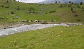 Tocht Stappen Campan - De Artigues (Campan) à Payolle  - Photo 1