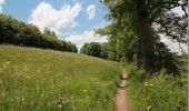 Percorso Mountainbike Peigney - Tour du lac de la Liez - Langres - Photo 6