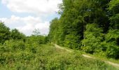 Trail Walking Monchaux-Soreng - Circuit du Mont Rôti (N° 16) - Monchaux-Soreng - Photo 3