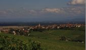 Tocht Stappen Riquewihr - Entre vignes et villages - Riquewihr - Photo 5