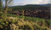 Tocht Stappen Riquewihr - Entre vignes et villages - Riquewihr - Photo 4
