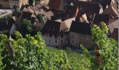 Tocht Stappen Riquewihr - Entre vignes et villages - Riquewihr - Photo 3