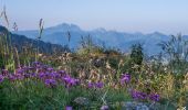 Tour Wandern La Forclaz - La Pointe de Tréchauffex 1627 m, traversée depuis la Forclaz - Photo 1