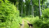 Tour Mountainbike Öttingen - Réserve Naturelle Ellergronn - Ottange - Photo 4