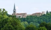 Tour Wandern Perreux - Circuit N° 10 - Les Bords de Loire - Perreux - Photo 1