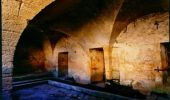 Randonnée Marche Cabrières - De Cabrières au Pont du Gard  - Photo 1