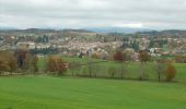 Randonnée Marche Cunlhat - Grand Chambois  -  Cunlhat - Photo 2