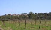 Tocht Stappen Saussines - Découverte des capitelles de Saussines - Photo 1