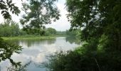 Tour Wandern Nervieux - Autour des Gorges de la Loire - PR N° 1 : La Fontaine de Grénieux - Nervieux - Photo 5