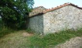 Tour Wandern Vézelin-sur-Loire - Autour des Gorges de la Loire - PR N° 4 : La Bergère de Bissieux - Saint Paul de Vézelin - Photo 4