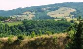 Tour Wandern Cordelle - Autour des Gorges de la Loire - PR N° 7 : Circuit du Verdier - Cordelle - Photo 5