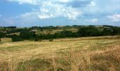 Tour Wandern Cordelle - Autour des Gorges de la Loire - PR N° 7 : Circuit du Verdier - Cordelle - Photo 3